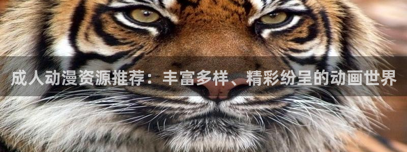 里番3d动漫在线观看：成人动漫资源推荐：丰富多样、精彩纷呈的动画世界