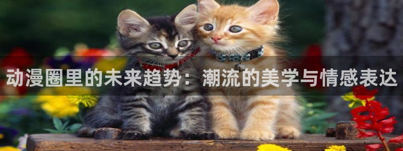 伪娘动漫里番：动漫圈里的未来趋势：潮流的美学与情感表达