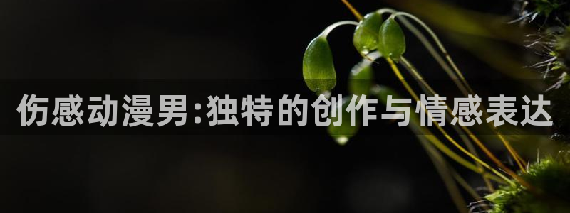 口里番漫画：伤感动漫男:独特的创作与情感表达