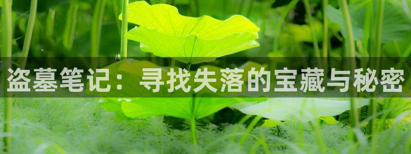 里番无翼鸟动漫：盗墓笔记：寻找失落的宝藏与秘密