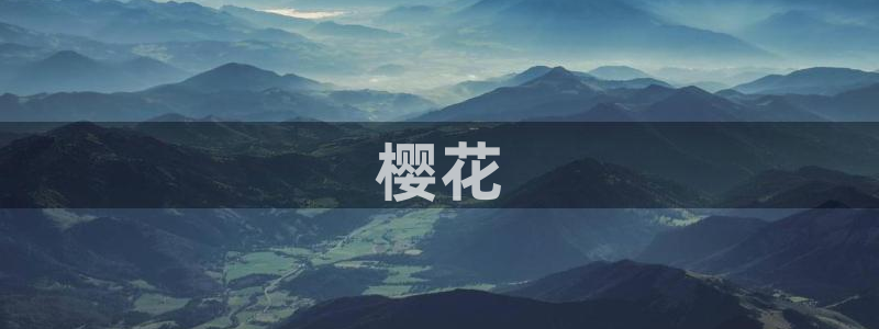 工口少女漫画里番：樱花
