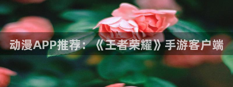 动漫里番有哪些：动漫APP推荐：《王者荣耀》手游客户端