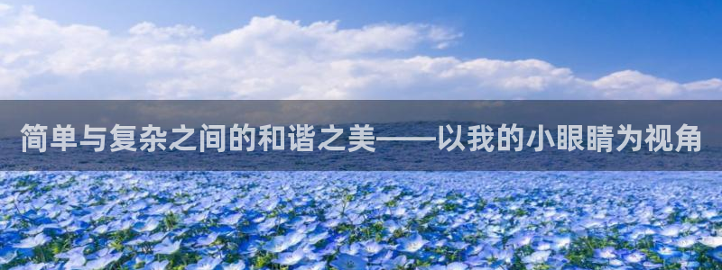 3d同人动漫里番：简单与复杂之间的和谐之美——以我的小眼睛为视角