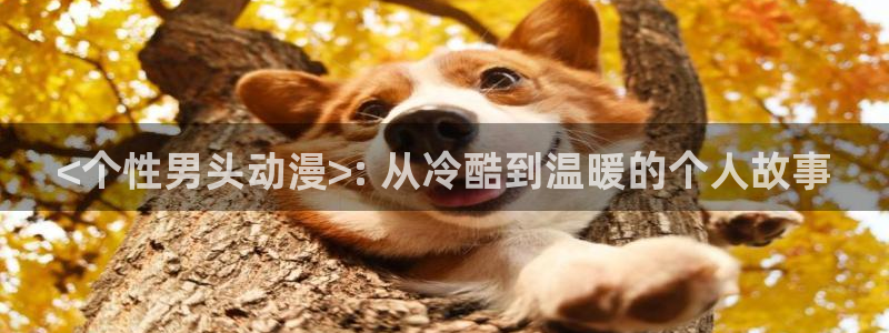 里番动漫资源：<个性男头动漫>: 从冷酷到温暖的个人故事
