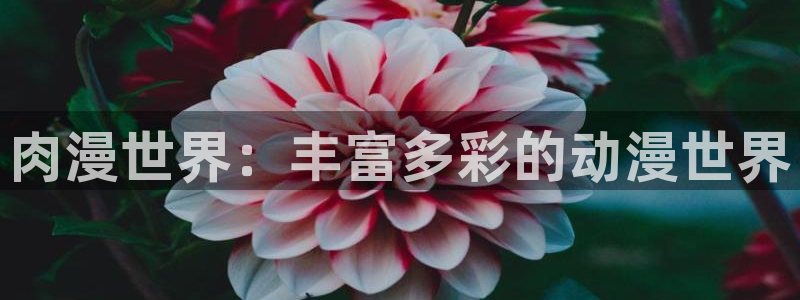里番动漫观看在线：肉漫世界：丰富多彩的动漫世界