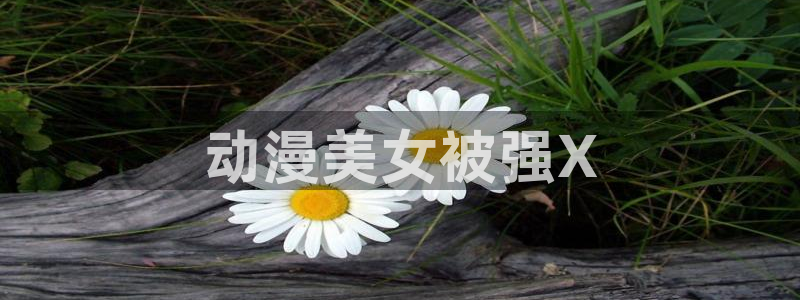 综漫里番小说：动漫美女被强X