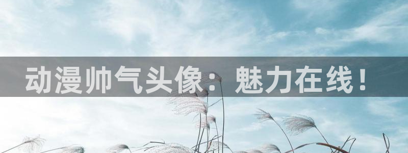 里番动漫推荐：动漫帅气头像：魅力在线！