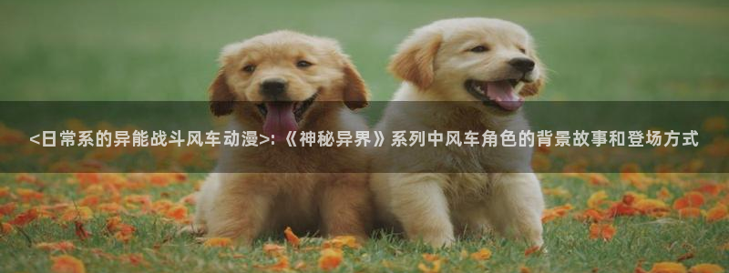 里番涩漫：<日常系的异能战斗风车动漫>: 《神秘异界》系列中风车角色的背景故事和登场方式