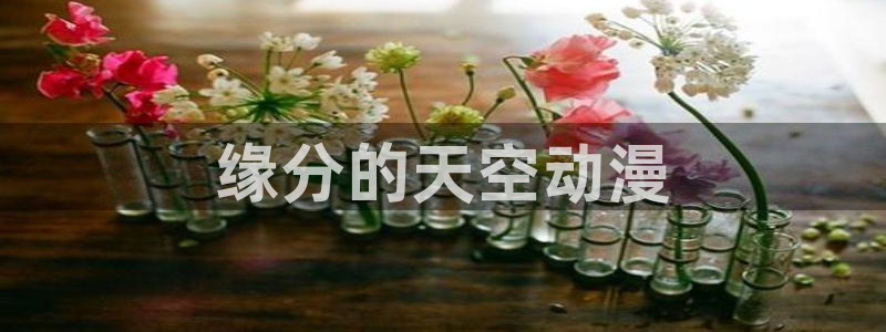 动漫里番本子库：缘分的天空动漫
