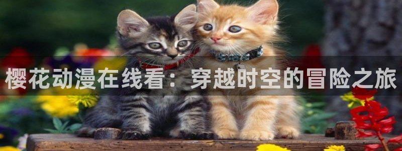 里番3d动漫：樱花动漫在线看：穿越时空的冒险之旅