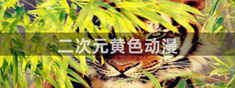 里番acg日本漫画：二次元黄色动漫