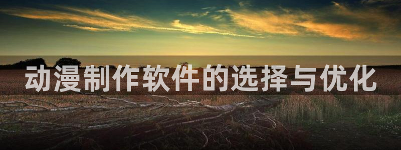 动漫里番有哪些：动漫制作软件的选择与优化