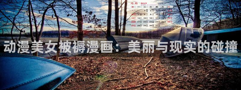 里番动漫艳母：动漫美女被褥漫画：美丽与现实的碰撞