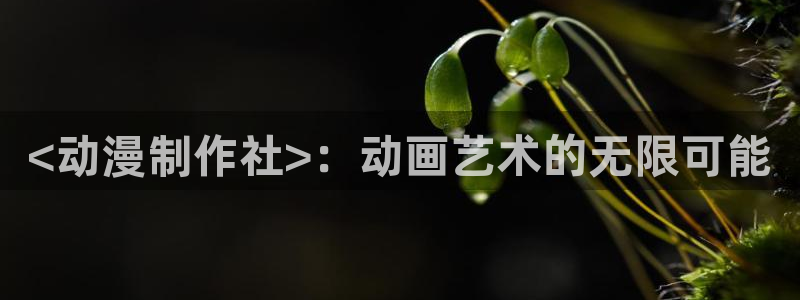 里番动漫影院：<动漫制作社>：动画艺术的无限可能