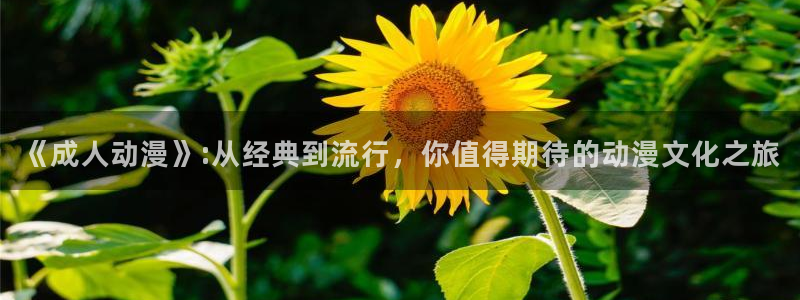里番漫画全彩大全：《成人动漫》:从经典到流行，你值得期待的动漫文化之旅