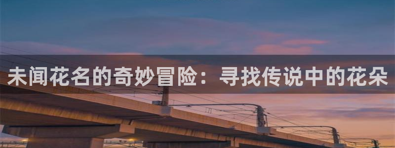 里番有哪些好看动漫：未闻花名的奇妙冒险：寻找传说中的花朵