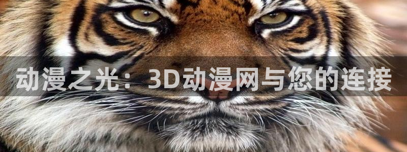 漫画里番本子：动漫之光：3D动漫网与您的连接