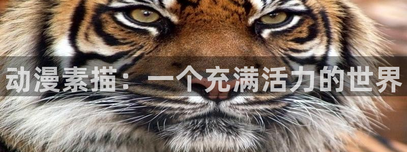 动漫在线里番：动漫素描：一个充满活力的世界