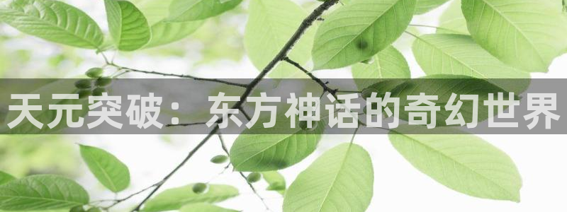 日本里番漫画大全：天元突破：东方神话的奇幻世界