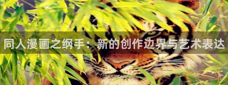 有什么好看的动漫里番：同人漫画之纲手：新的创作边界与艺术表达