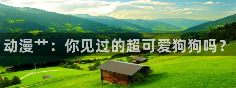 中文字幕动漫里番：动漫艹：你见过的超可爱狗狗吗？