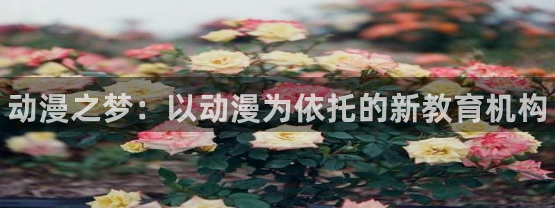 里番动漫第一页：动漫之梦：以动漫为依托的新教育机构